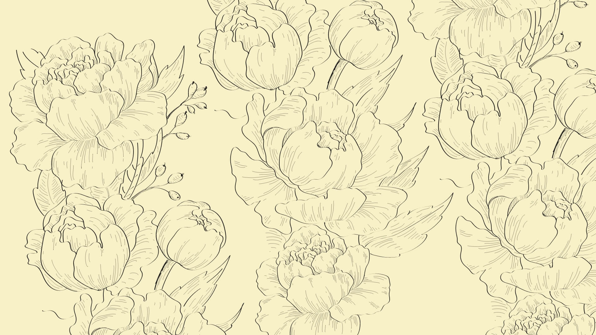 Header desktop