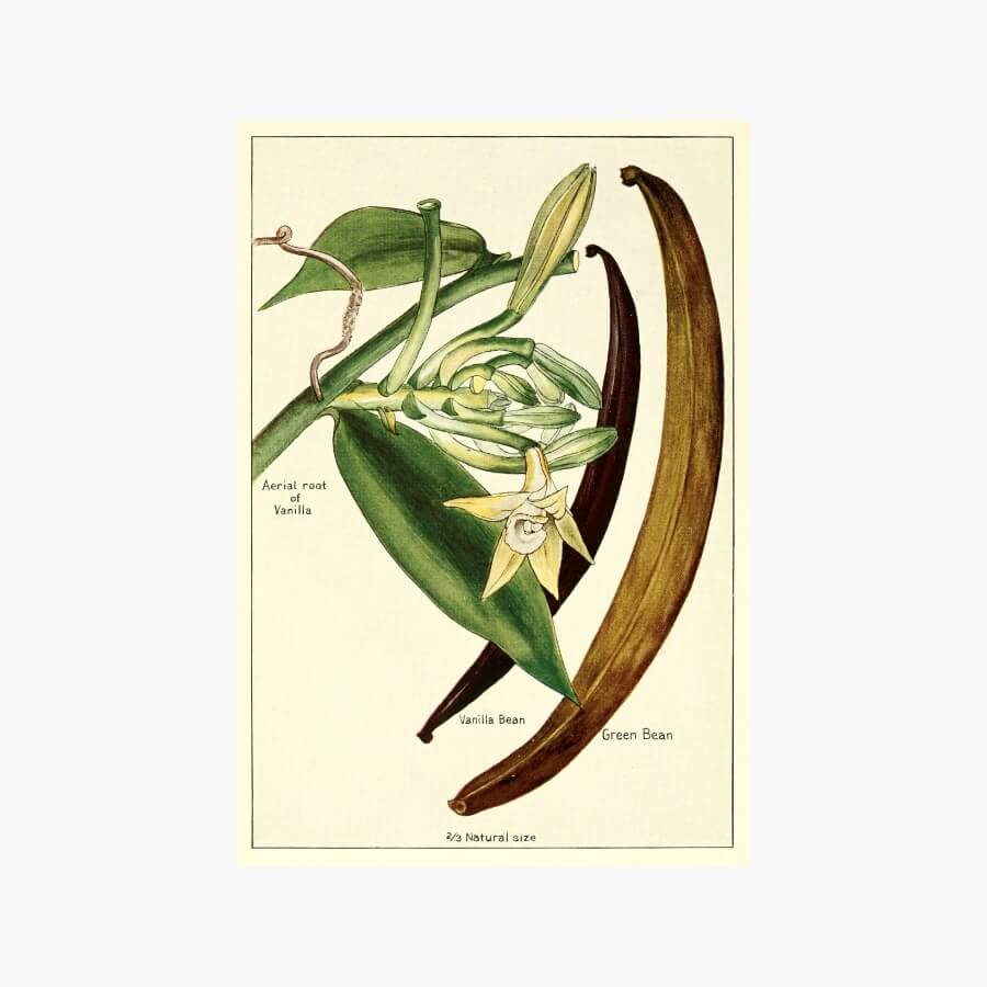 Puig_branding_900px_6